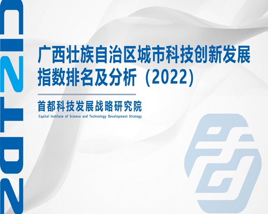 操逼操小逼片【成果发布】广西壮族自治区城市科技创新发展指数排名及分析（2022）